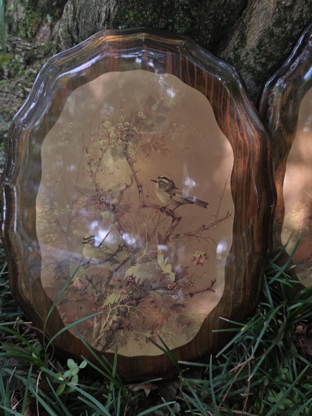 Vintage Amber Wood Wall Plaques with Bird Artwork - Picture 3 of 7